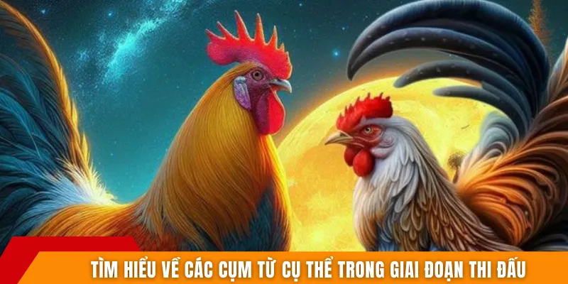 Tìm hiểu về các cụm từ cụ thể trong giai đoạn thi đấu